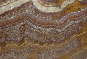 Onyx Orange